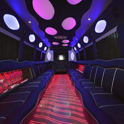 boca raton party bus